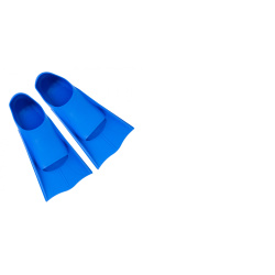 fins_1