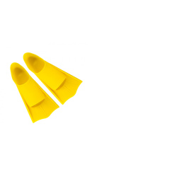 fins_3