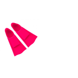 fins_5