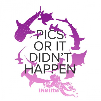 3114-pics-circle-b_4f4245b3-a783-46f1-a7b1-e22068a0e1d0_grande_1736578247